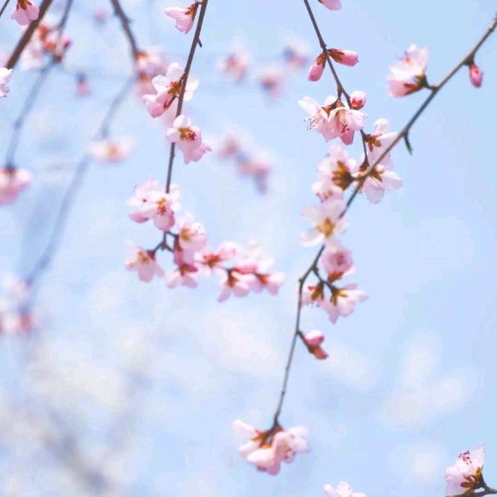 (づ￣3￣)づ╭❤～意难平