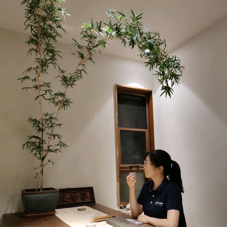 邢集小赵
