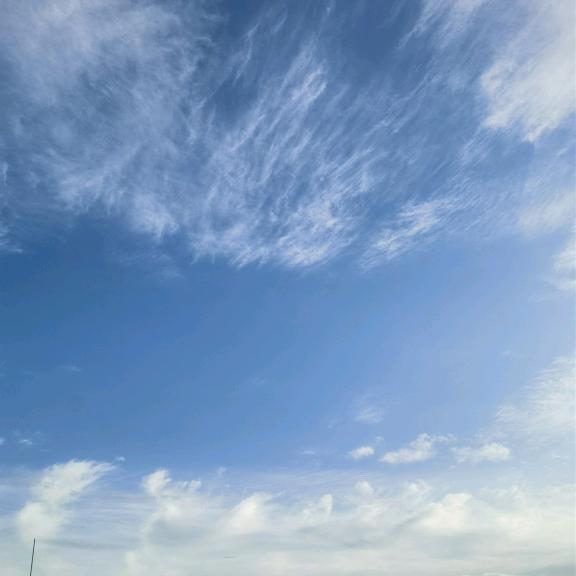 o(*≧▽≦)ツ ~ ┴┴ 氼