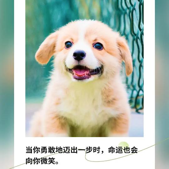 1、、\