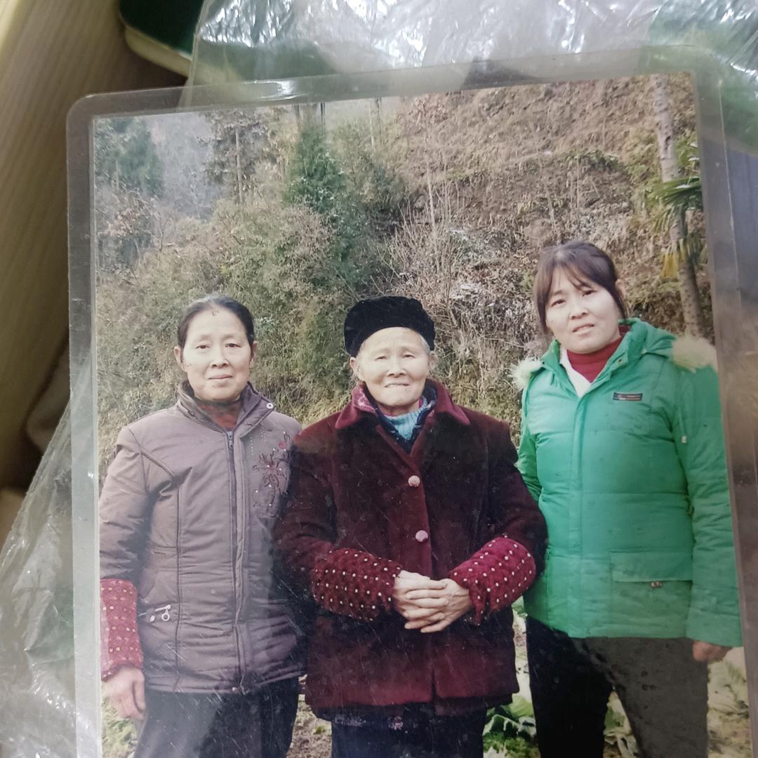 述华青青河边草