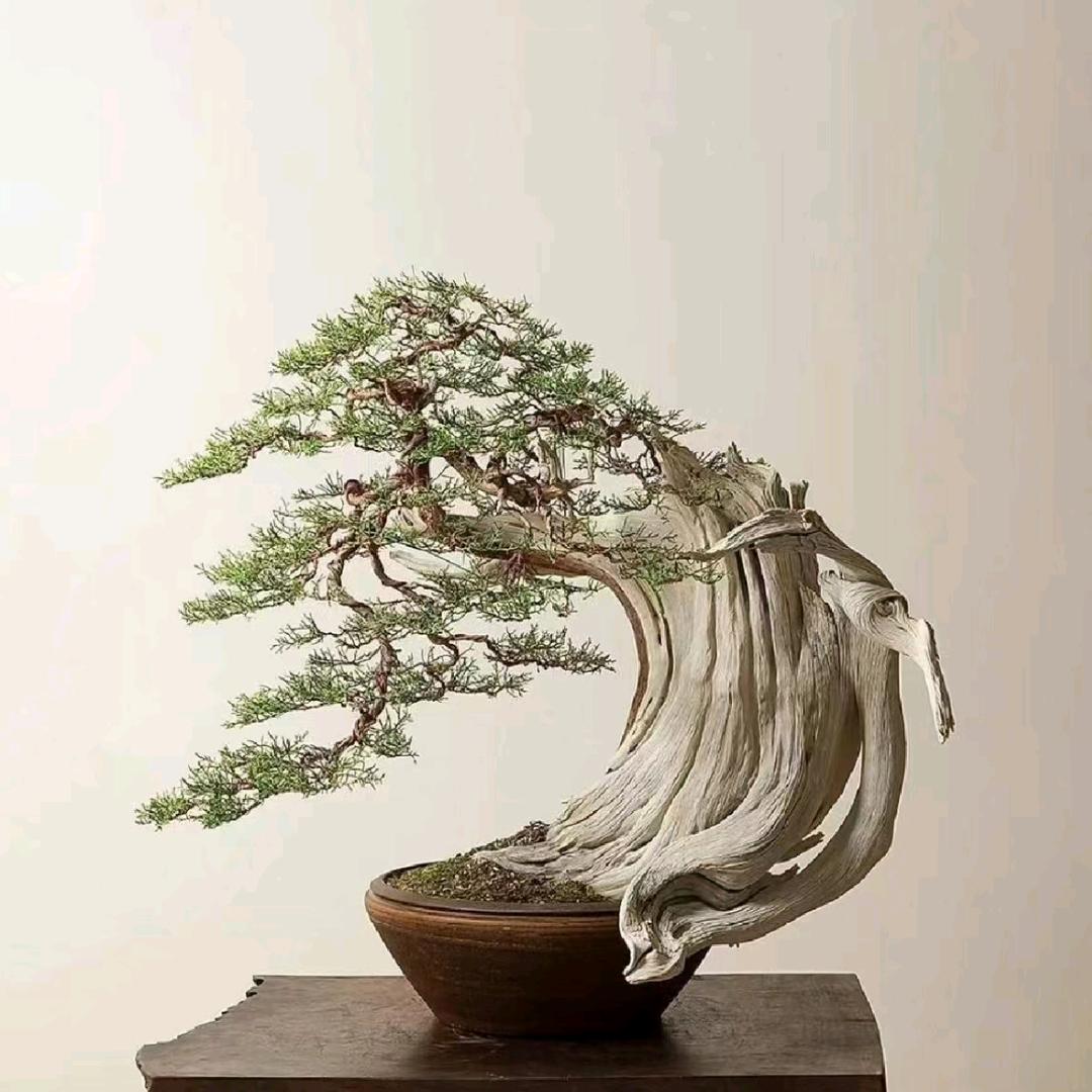 彭野园艺坊