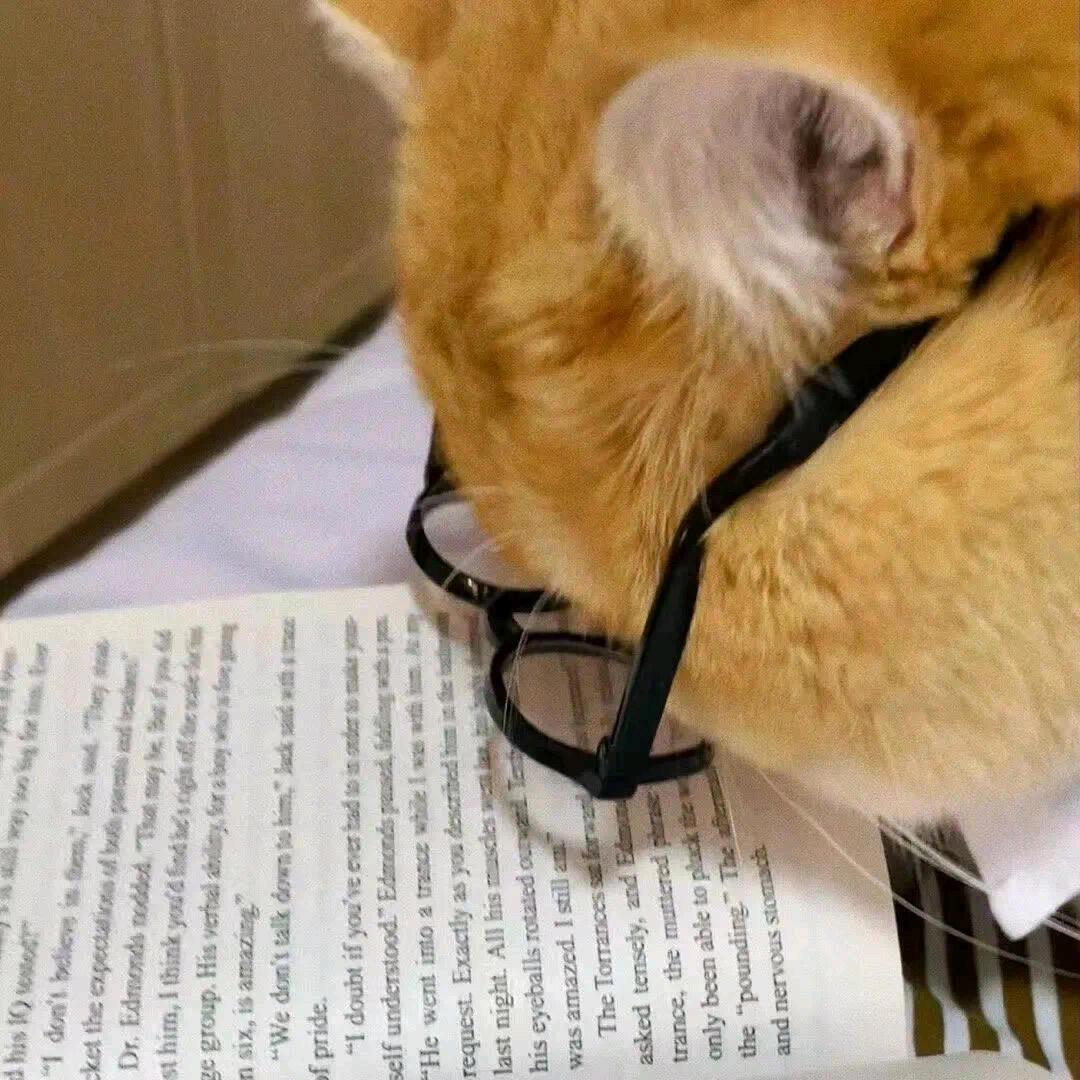 菠萝吹牛