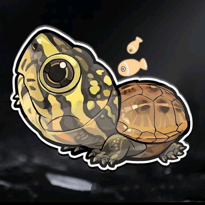 龟鱼同乐园🐢🐟