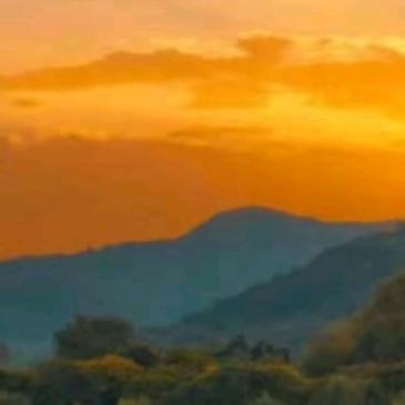 思念思念再思念