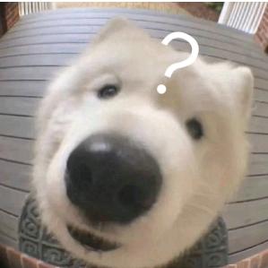 黄元琪