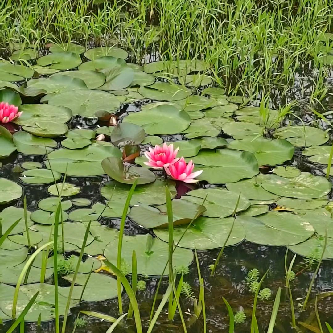 你是温暖逆光而来