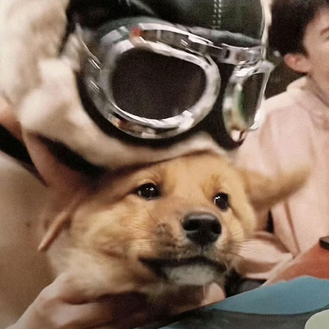 🌈初一.