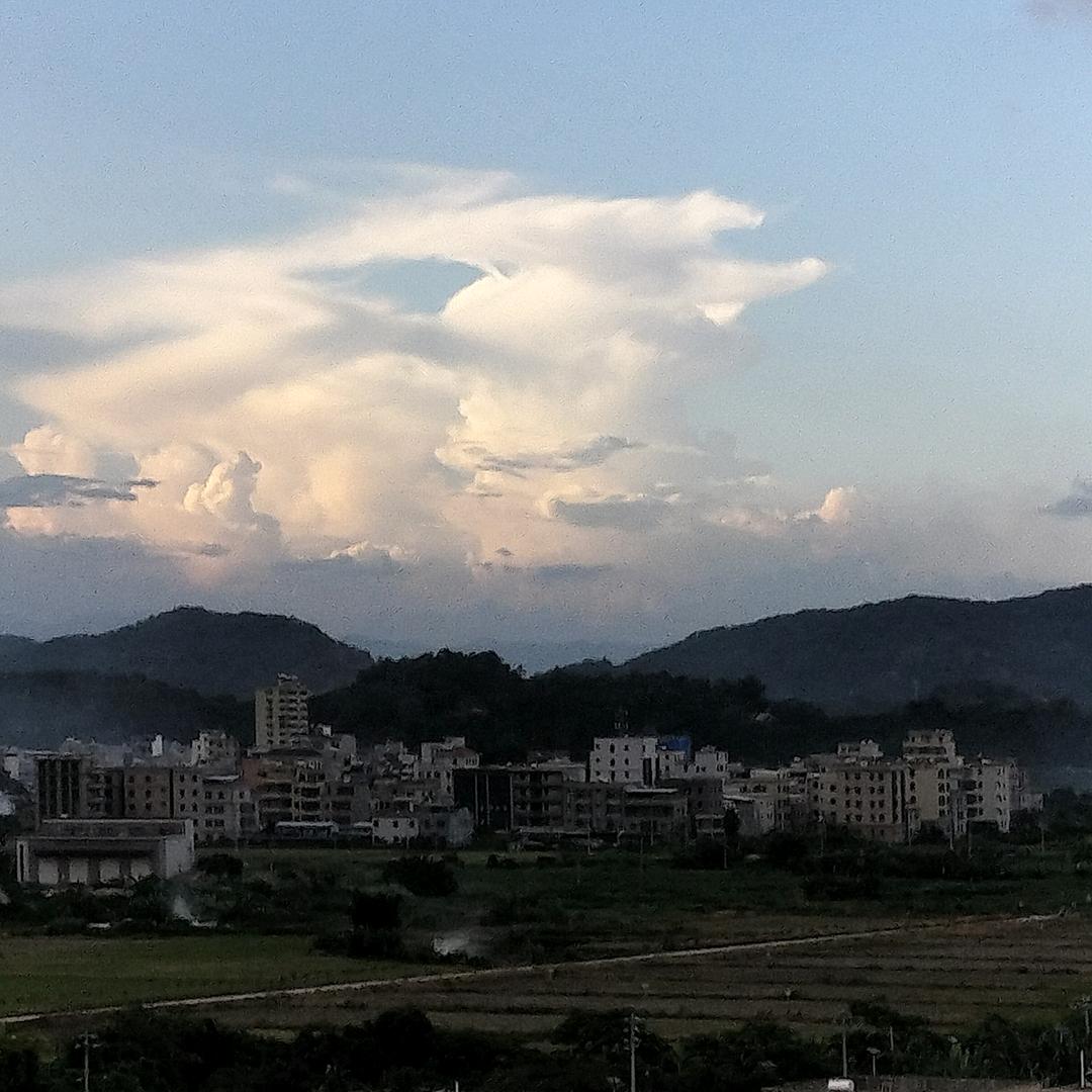 愛意鬆风起