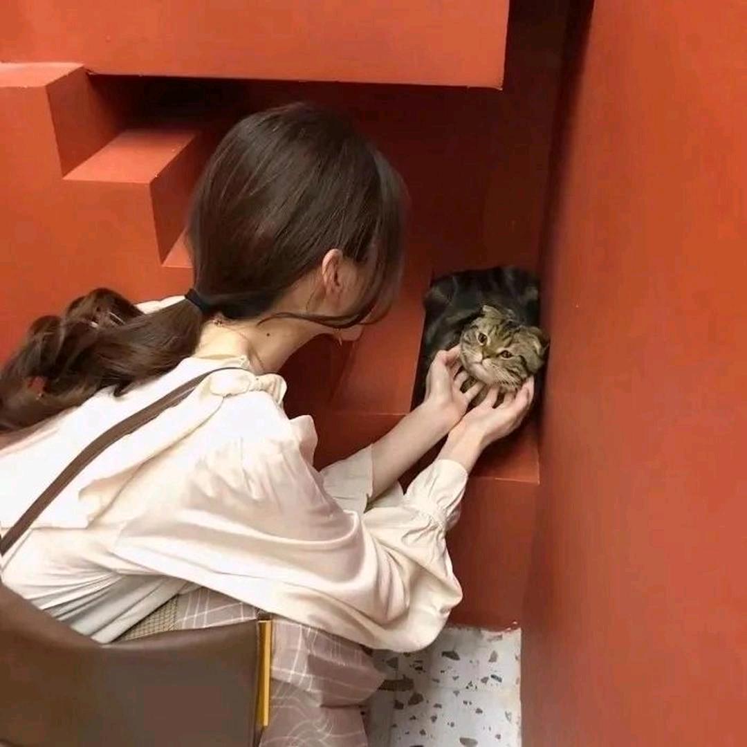 ✨随心✨