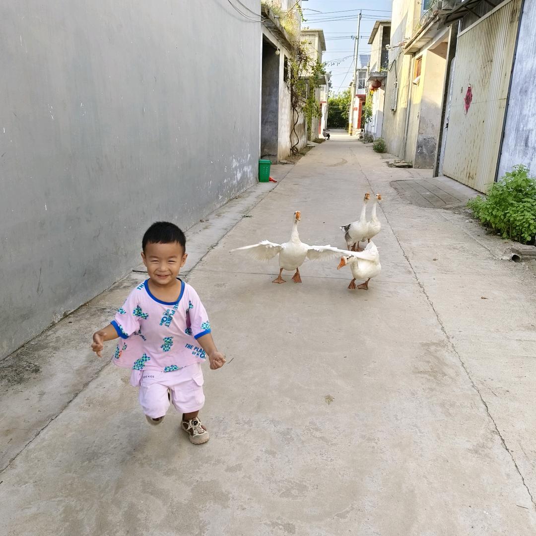 123哇哈哈哇哈哈