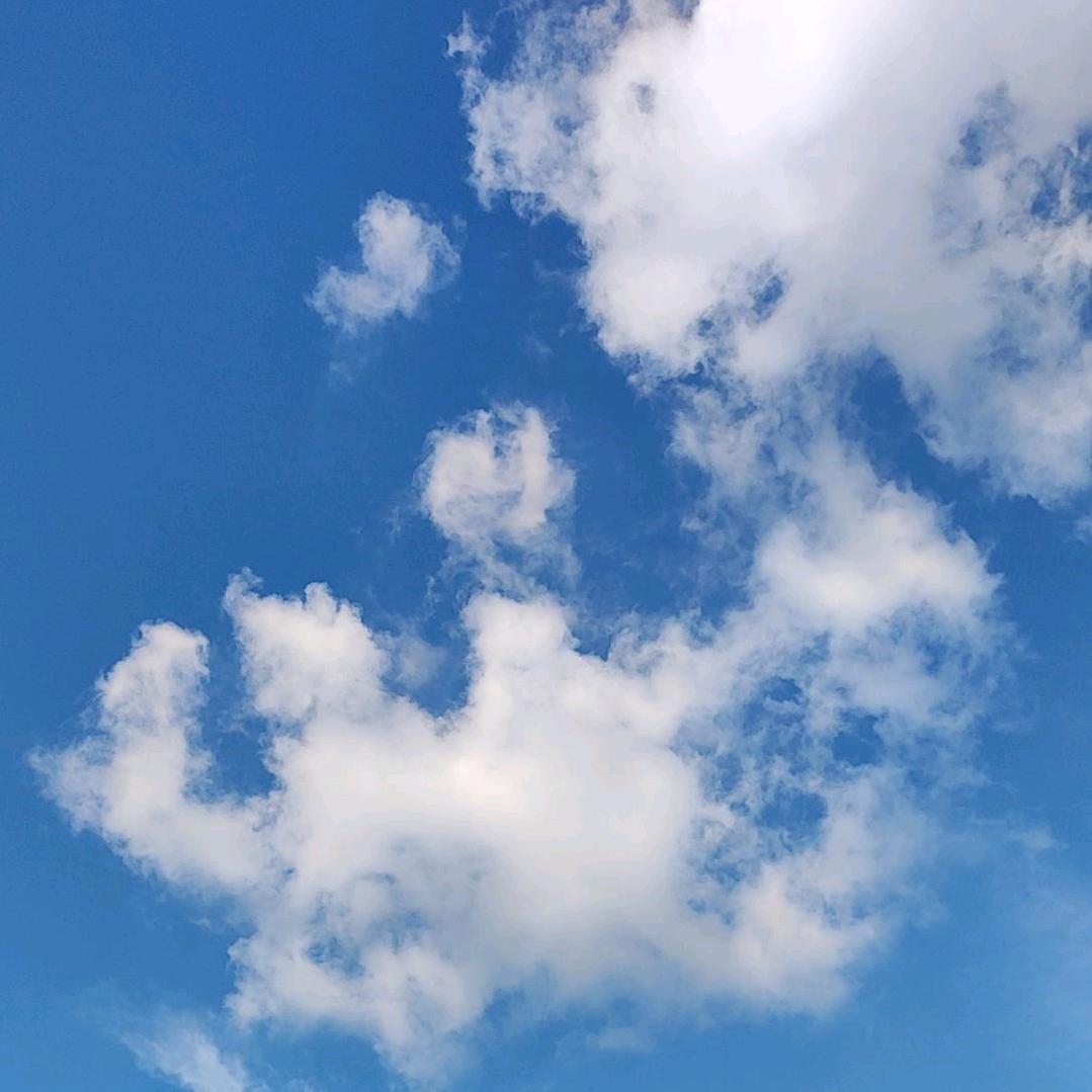 蔡招娣《橱窗有自用好 物》