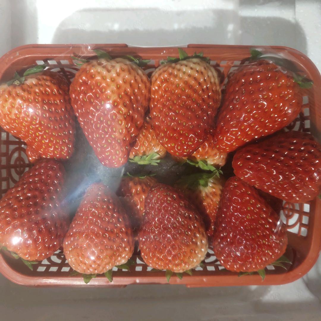 刘子低价果蔬