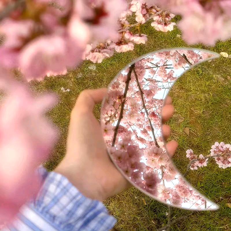 🌸柚子叶