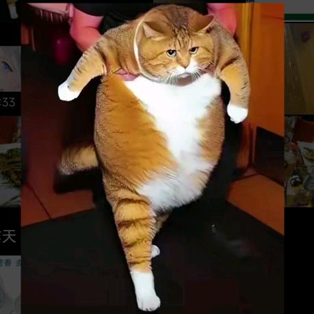 问东