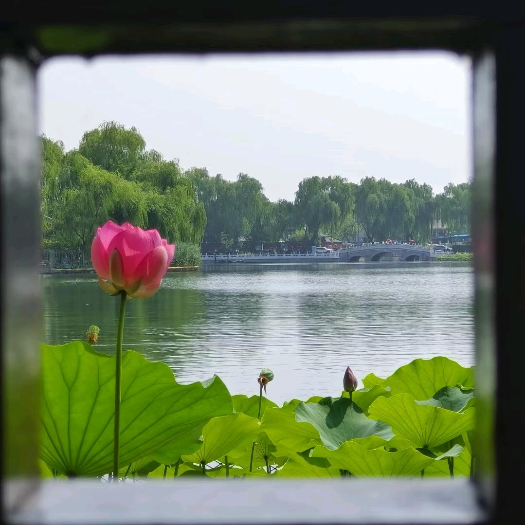 金穗儿·花馍