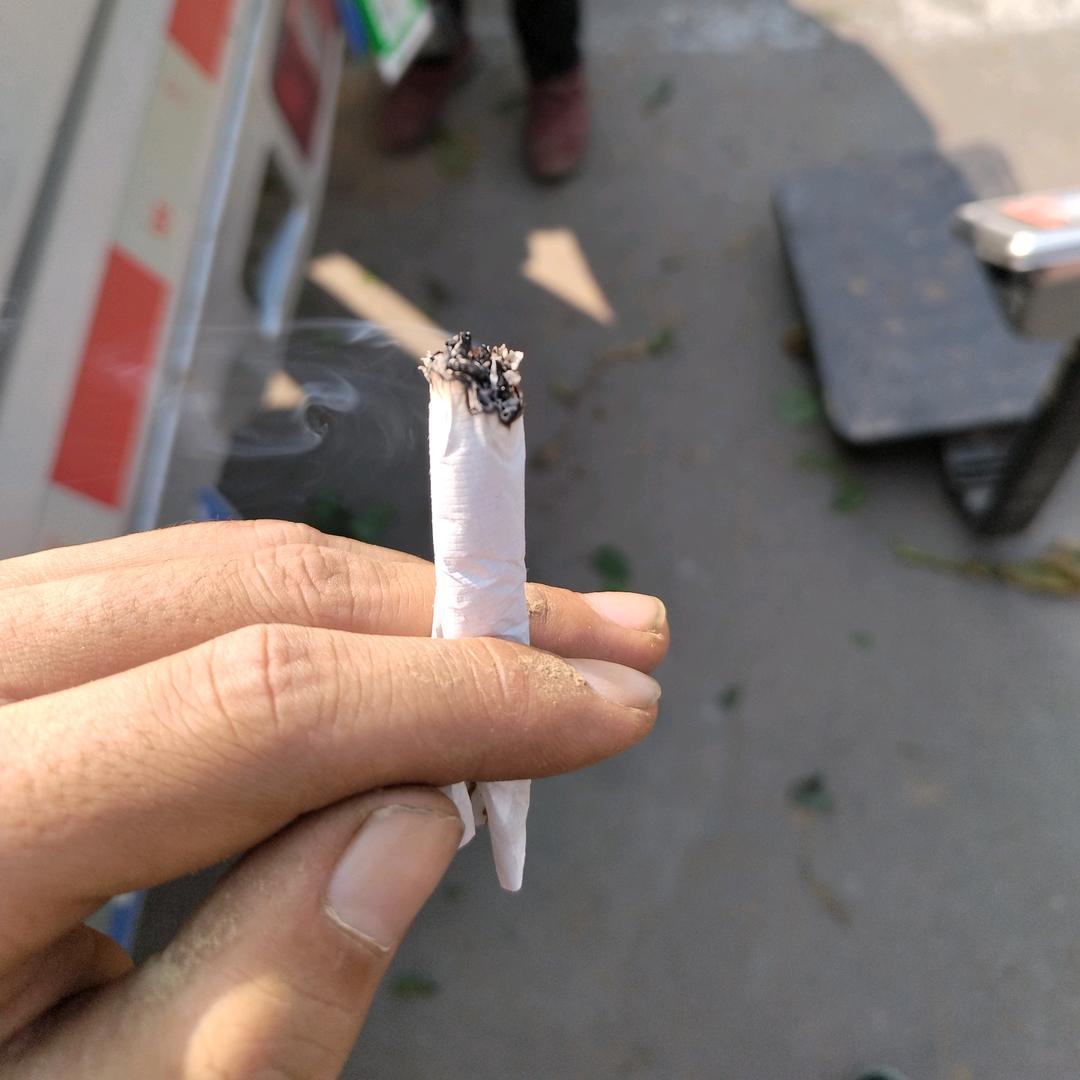 YBZAN坚持