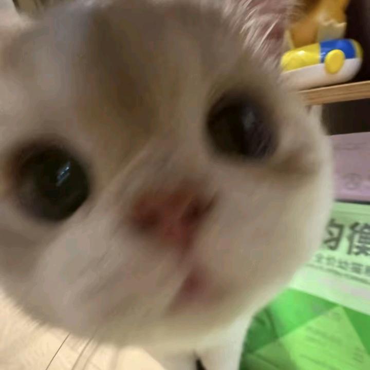 爱吃淀