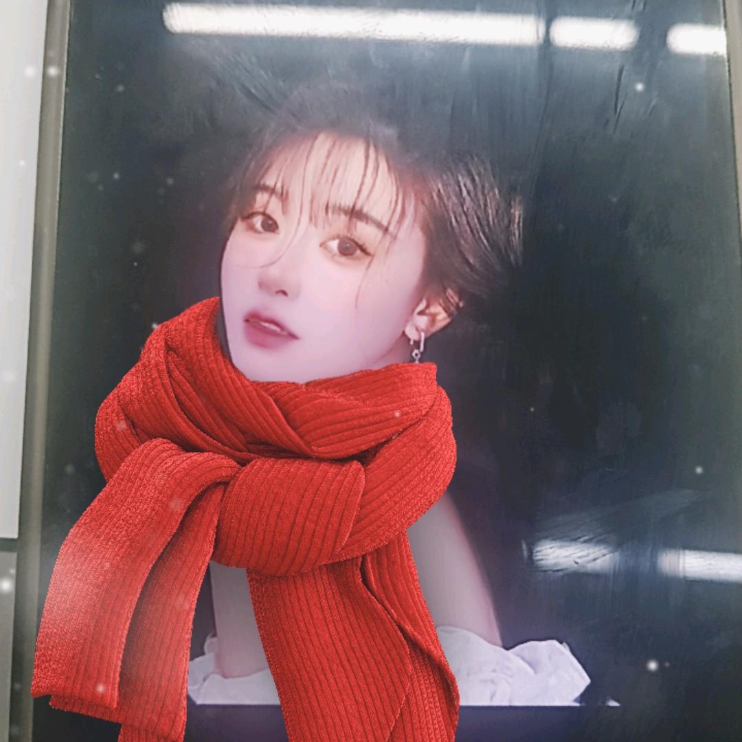 娜娜姐绿植优选