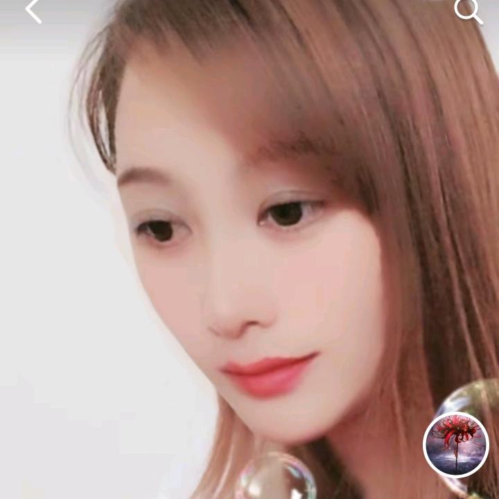 梅子创业（种植、养殖）