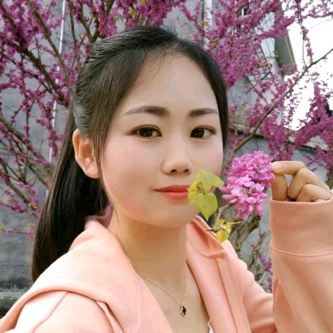 南阳哥