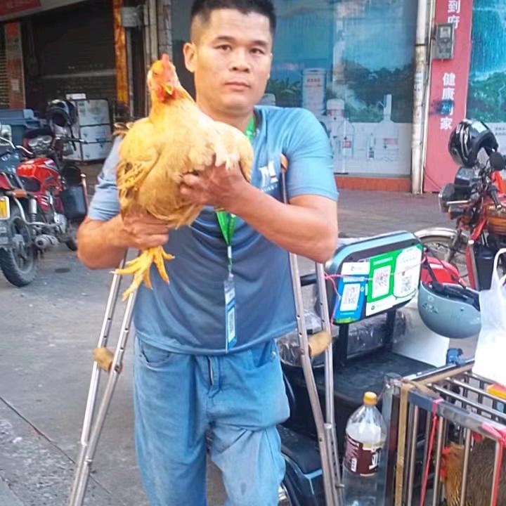 跛仔卖《阳山鸡！鸭》