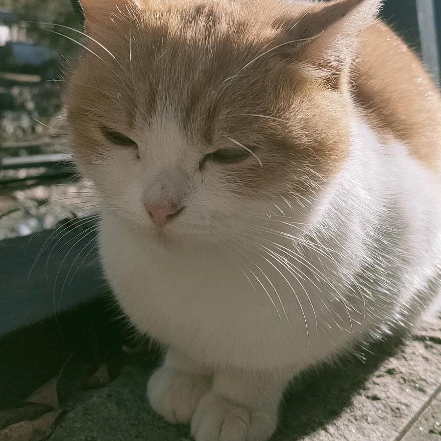 空空电信
