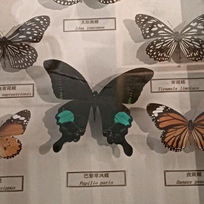 简行皮革服饰甄选阁