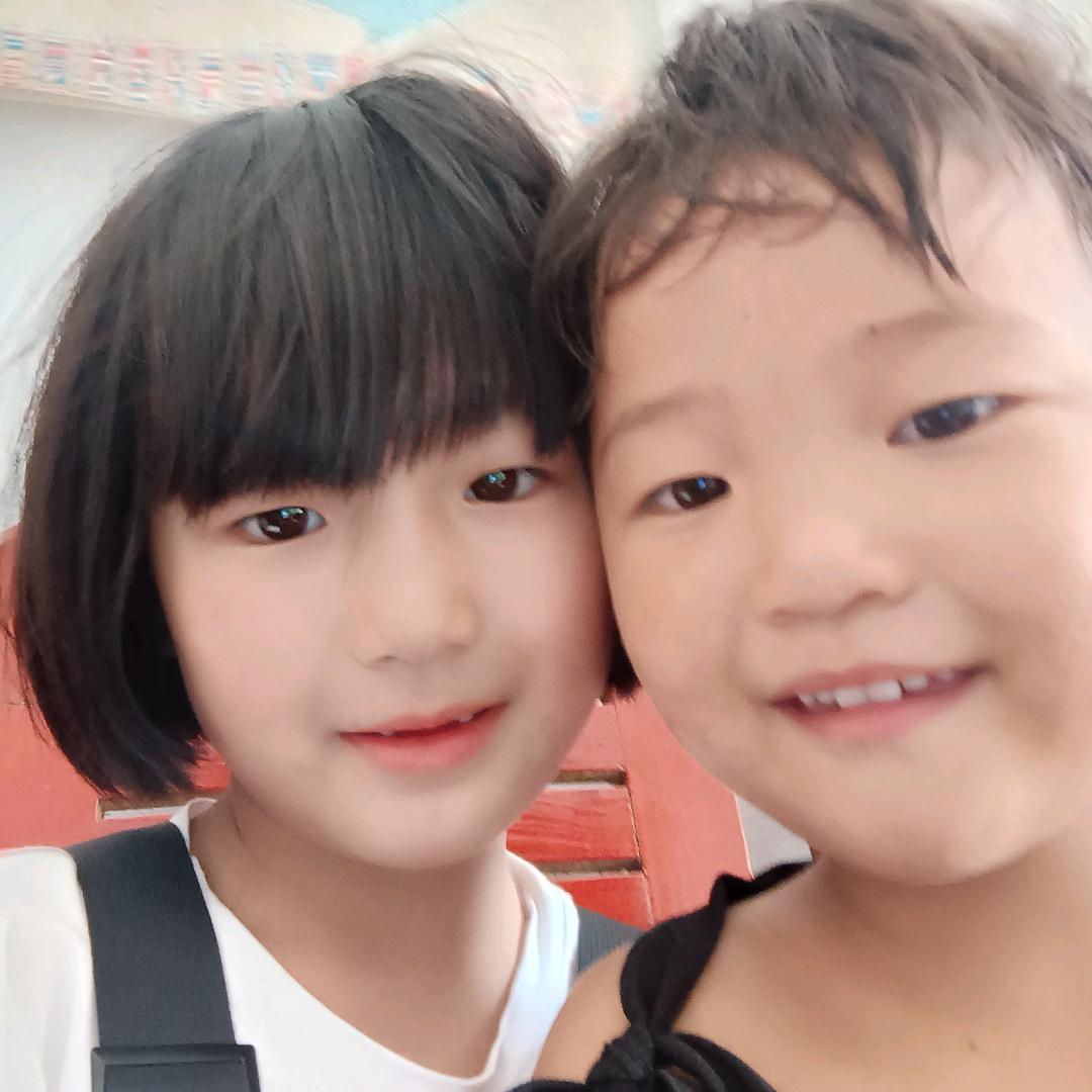 巢