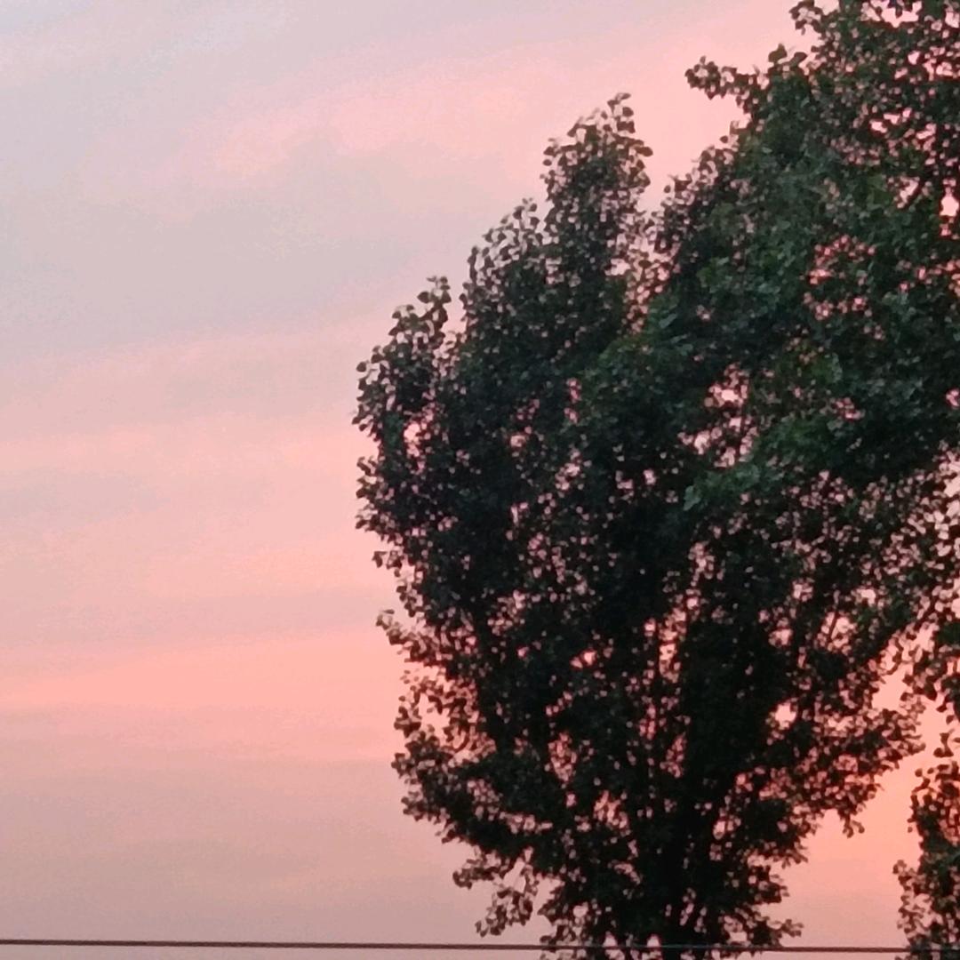 最好的时光遇见你