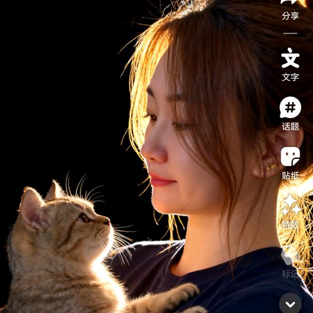 布灵布灵九姨太