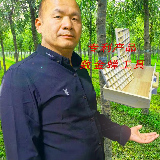 韩伍方珍品乡蝉精品店