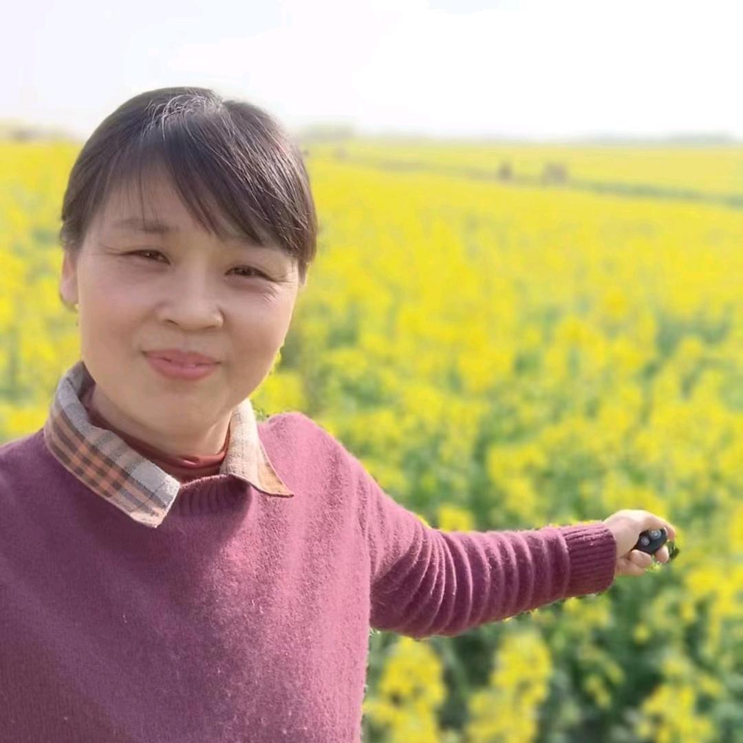 阿贵村房《不定时直播》