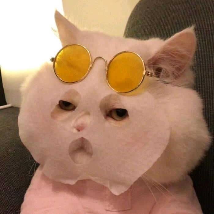 J米洛✨✨