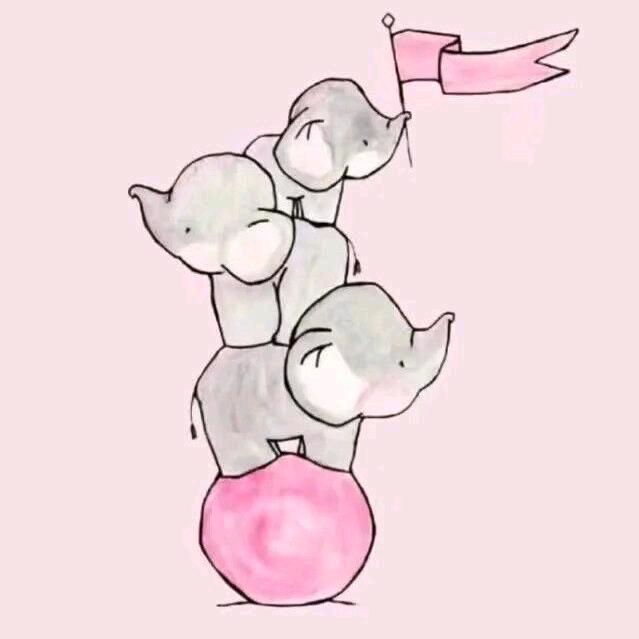 龙腾影视