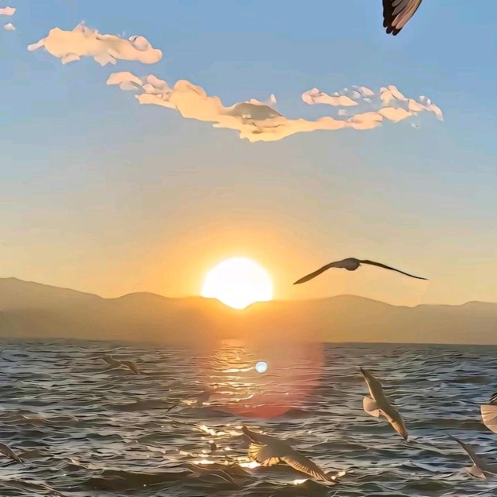 光无眠