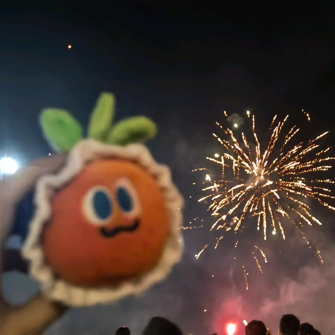 胡萝卜对身体好🥕