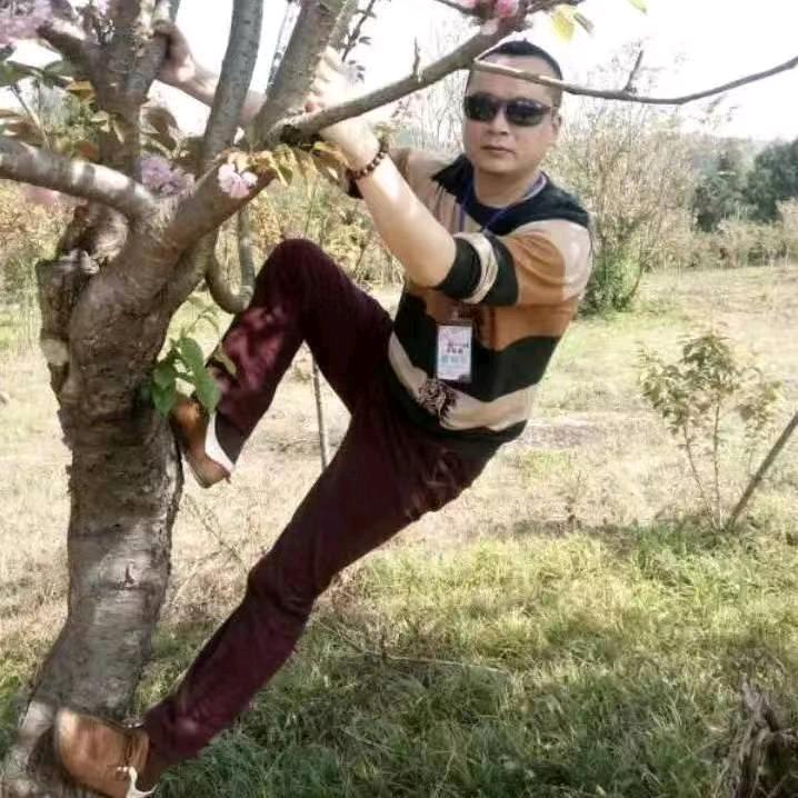 豪哥