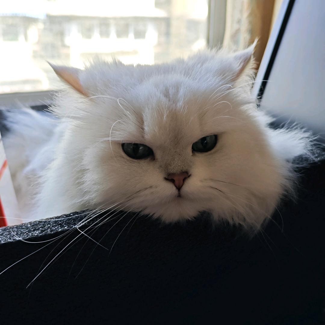 鼠鼠电竞公寓🐭