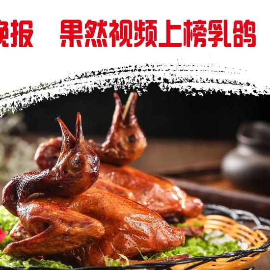 鸽行天下官方号