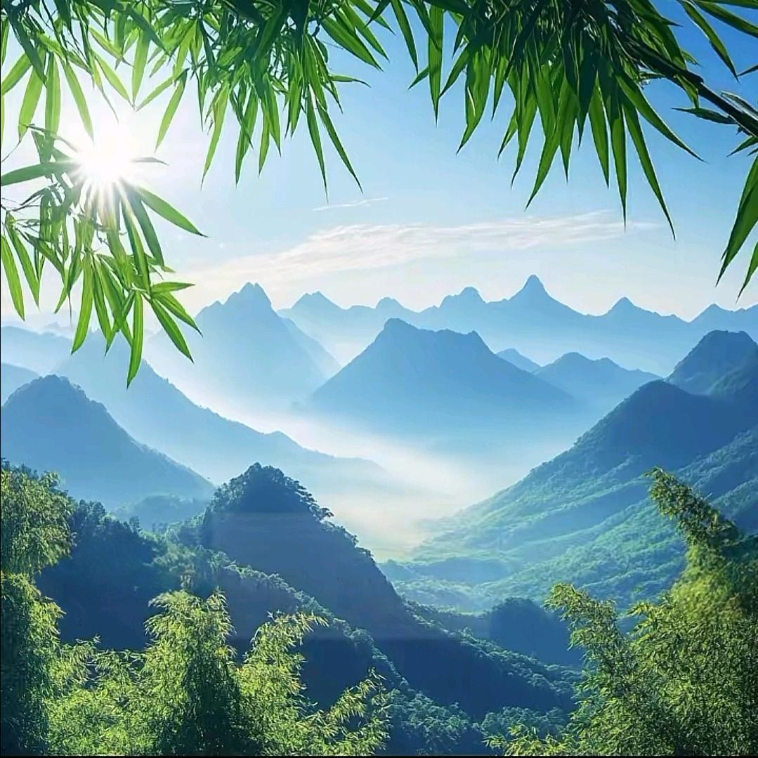 暁柒