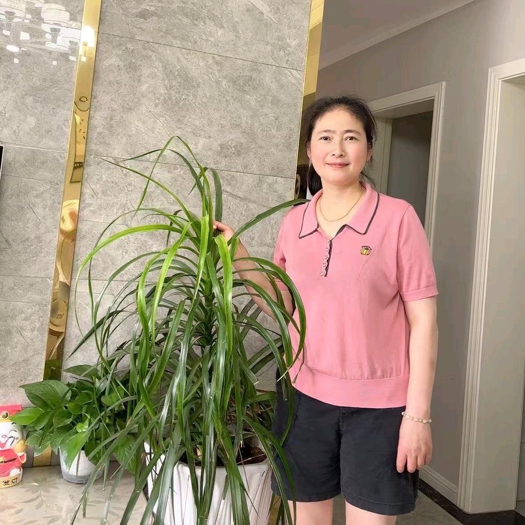 快乐陈姐