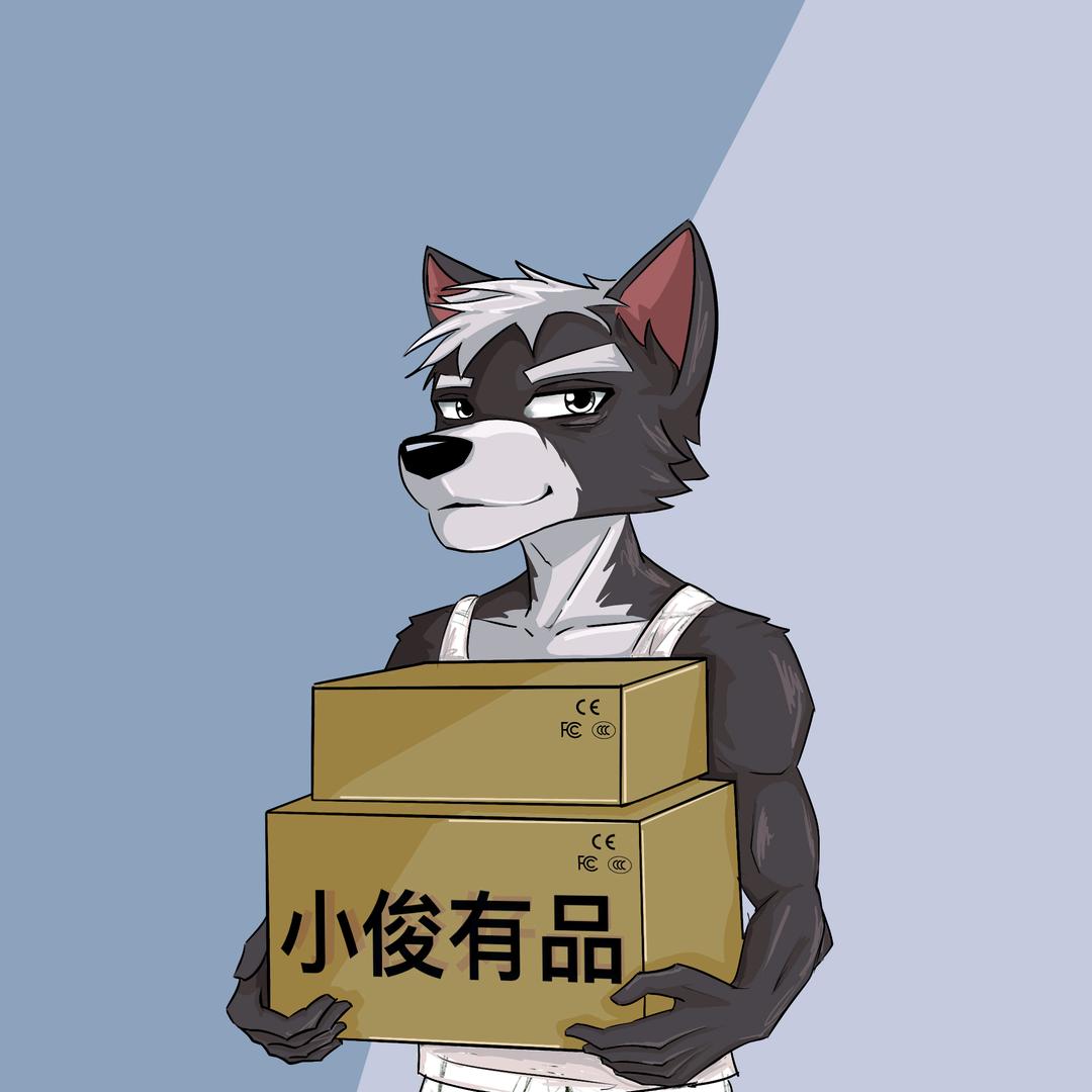小俊有品