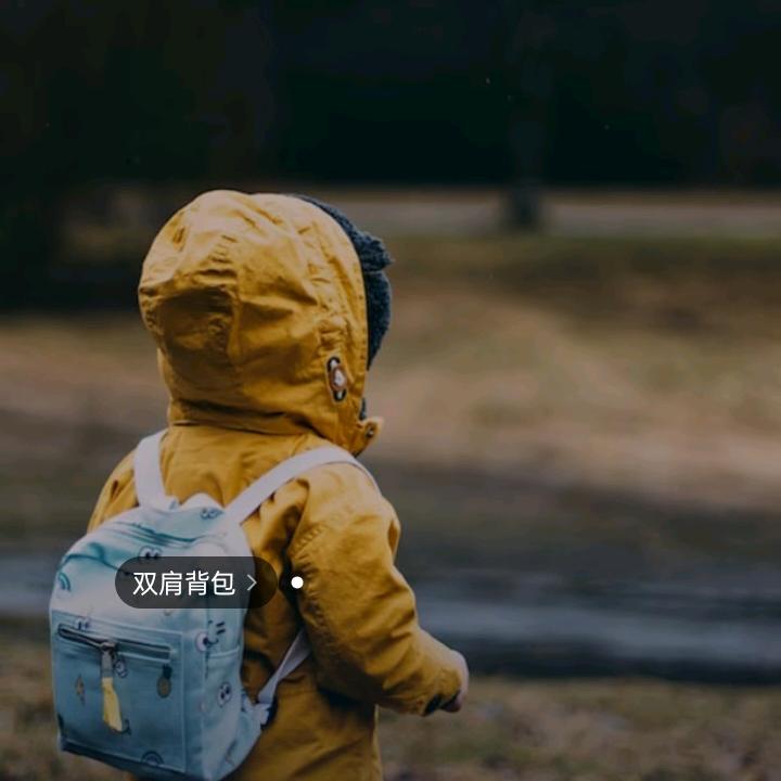 不盲目追随