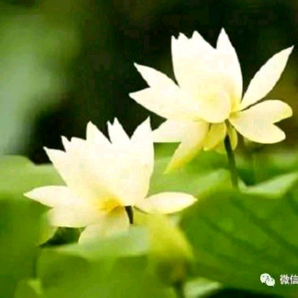 灯火阑珊处