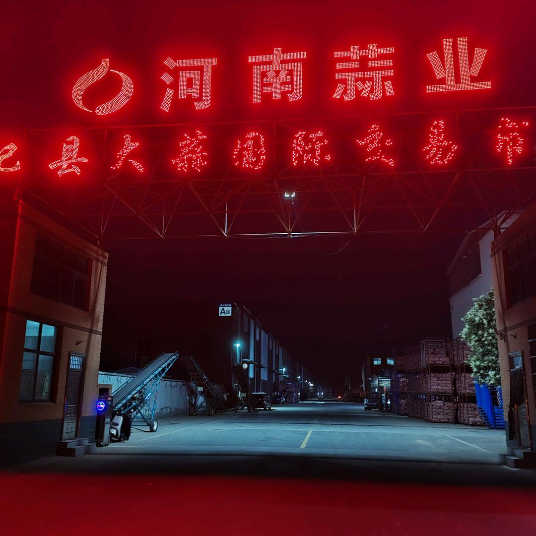 河南大蒜，产地直供