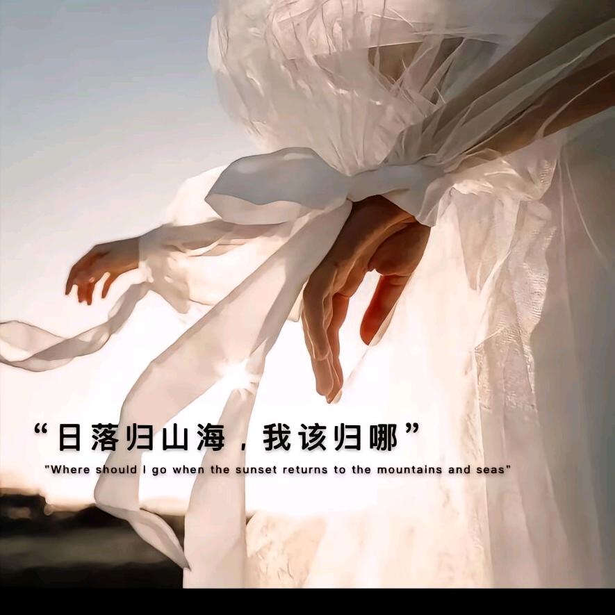 飞鸟与鱼不同路