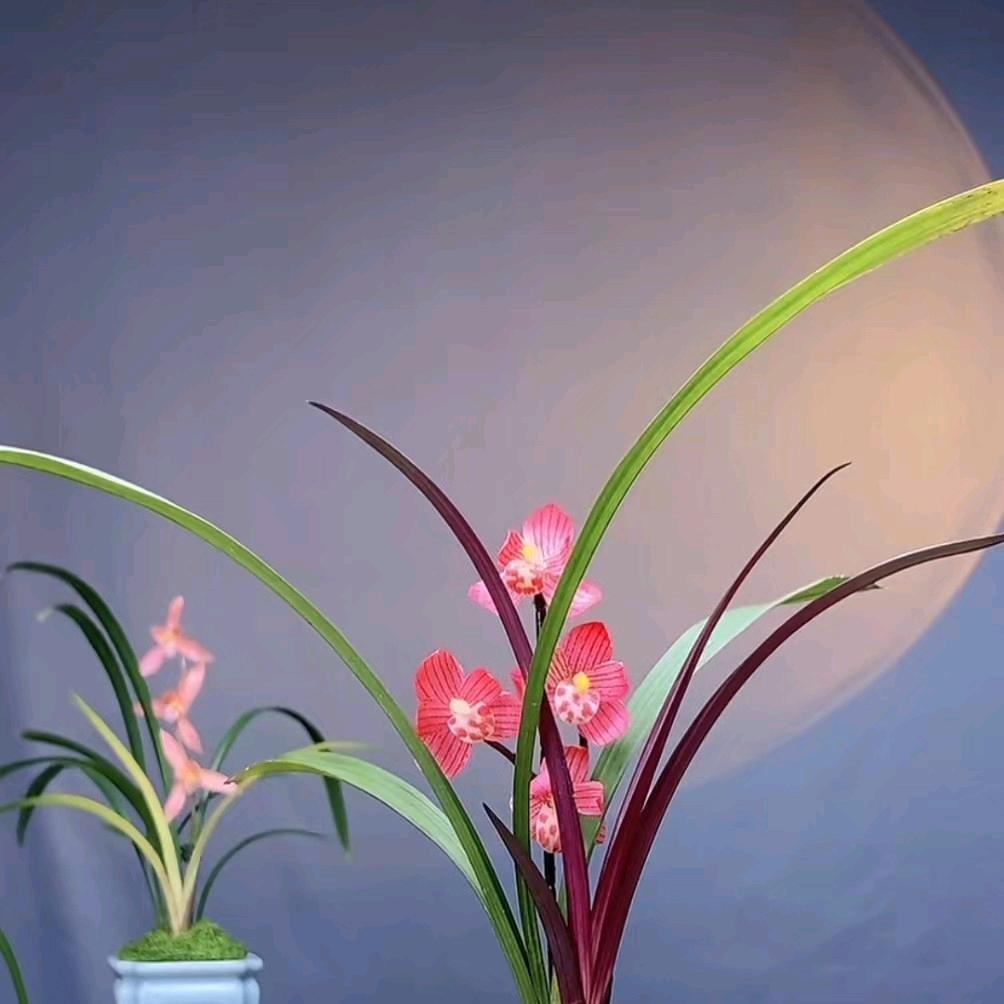 永远爱你。拒绝私聊。