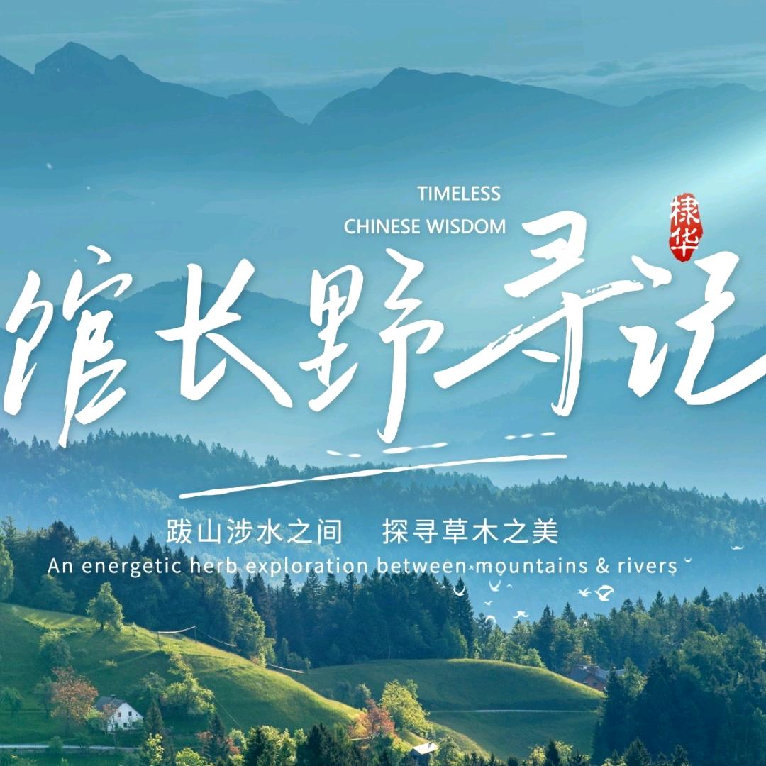 馆长野寻记