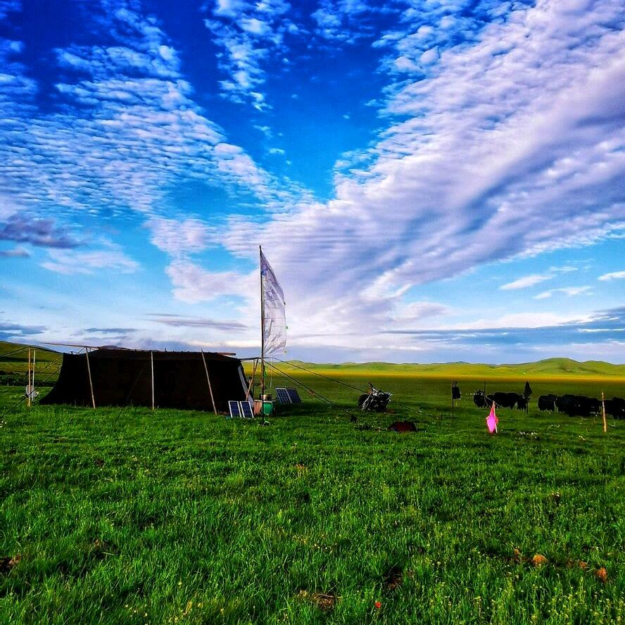 སང་ཅི་❤️